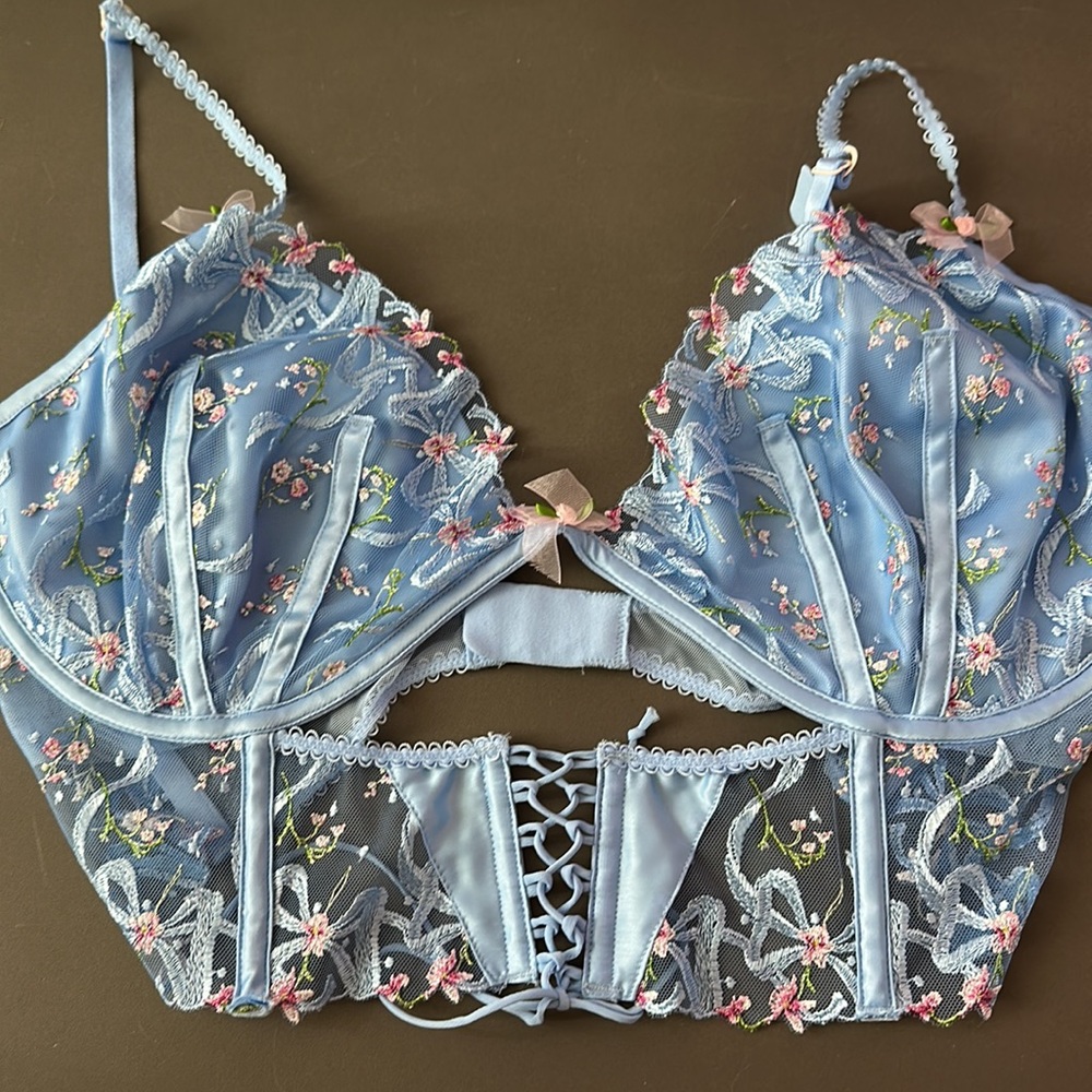 For love and lemons bustier. New with tags. Size 38DD. Beautiful blue with lace.